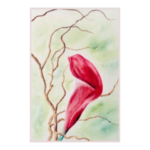 Arum Rose | Peinture Aquarelle 25x25 cm