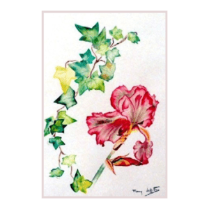 Iris Rose 93 | Peinture Aquarelle 40x30 cm