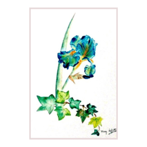 Iris 91 | Peinture Aquarelle 30x22 cm