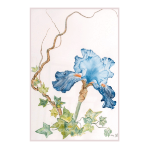 Iris Sérénité | Peinture Aquarelle 60x46 cm