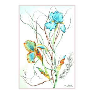 Iris Flamboyant | Peinture Aquarelle 60x46 cm